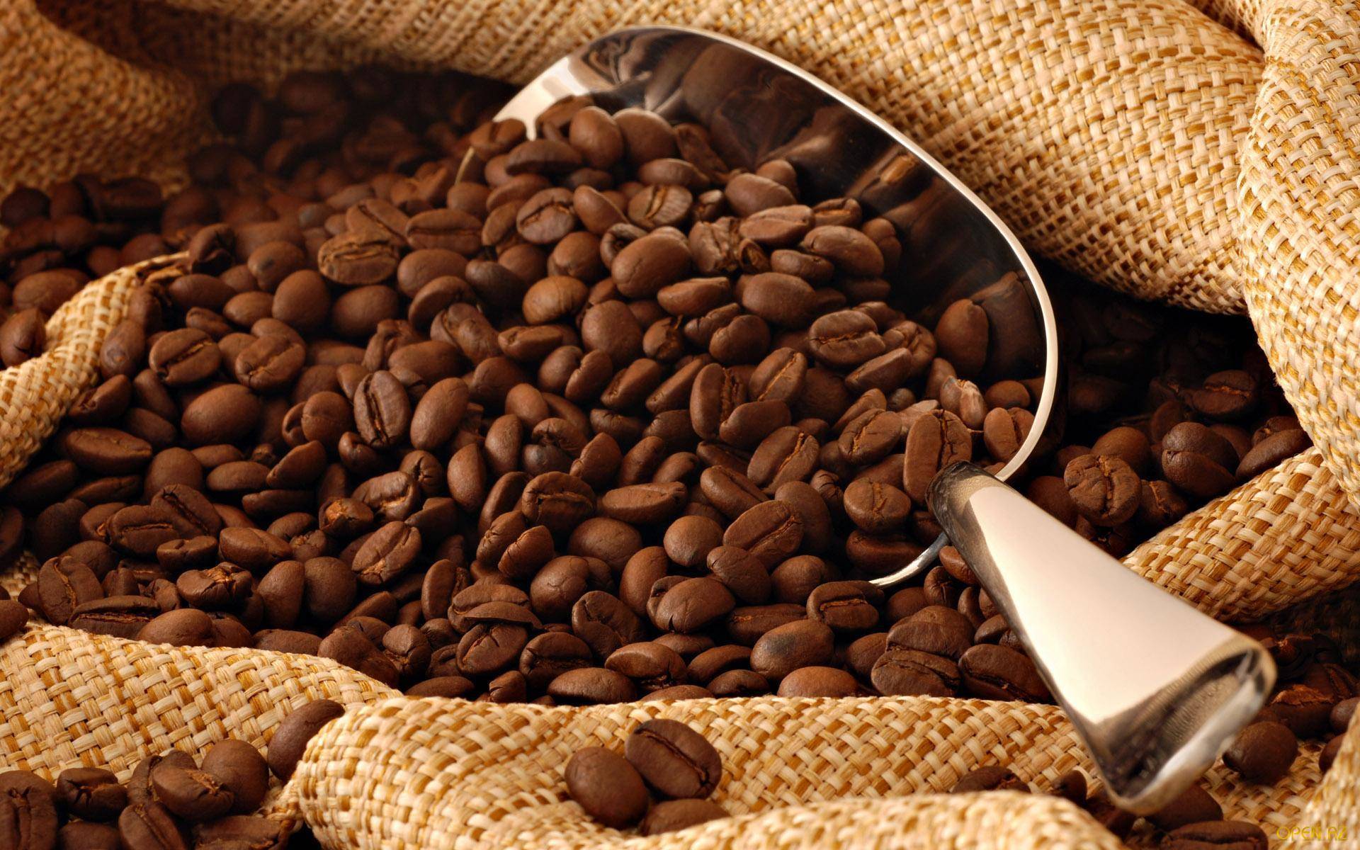Кенийский кофе в зернах: кения аа, аб, маунт, мутека и т.д. от эксперта