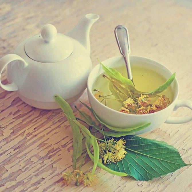 Чай с мелиссой: полезный освежающий напиток
