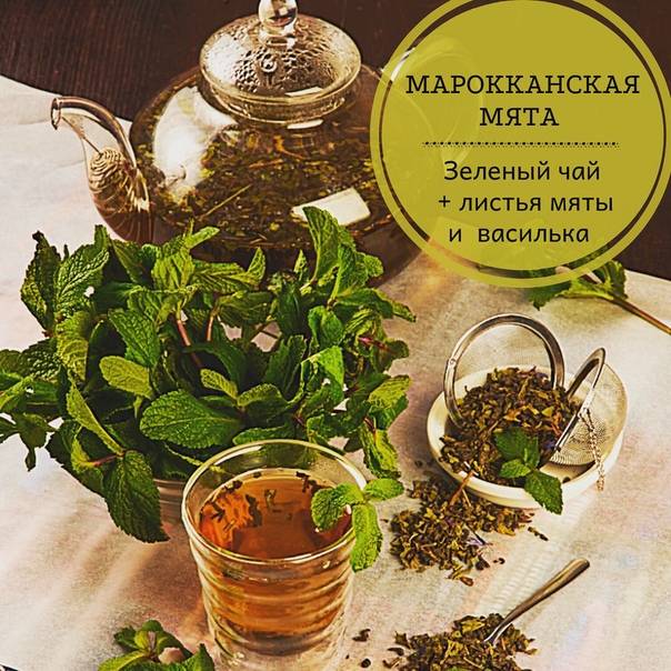 Марокканский чай с корицей: состав, рецепт :: syl.ru