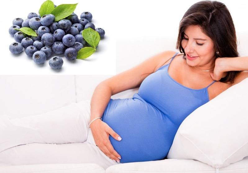 Можно ли пить чай каркаде при беременности. польза и вред каркаде во время беременности