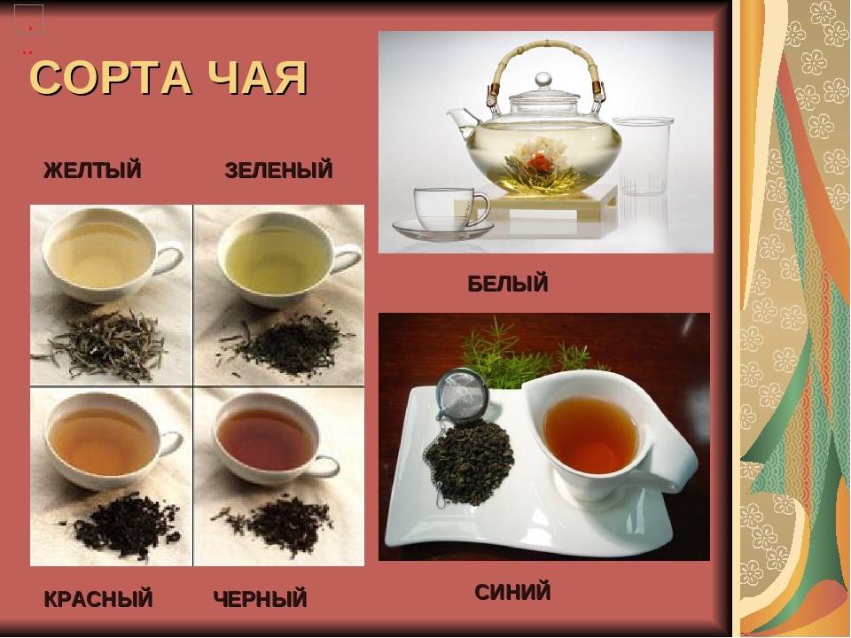 Хороший чай: какой выбрать и как, рейтинг самых популярных