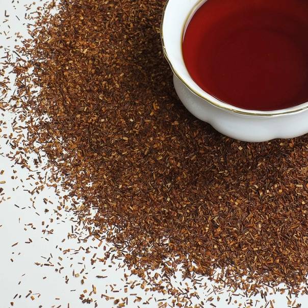 Чай ройбуш: полезные свойства и противопоказания, как заваривать