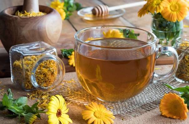 Чай из календулы — целебные свойства, показания к применению