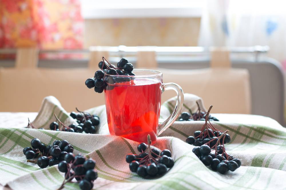 Чай из листьев черноплодной рябины ферментированный: полезные свойства, как заваривать, рецепт отвара