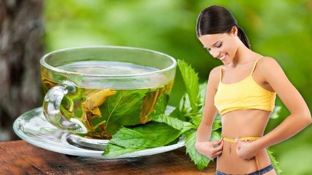 Помогает ли зеленый чай похудеть, и как именно он действует?